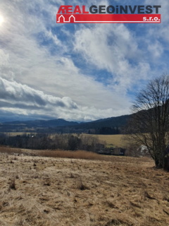 Prodej pozemku 1680m2, Hynčice pod Sušinou - Fotka 1